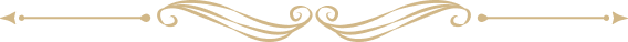 vector